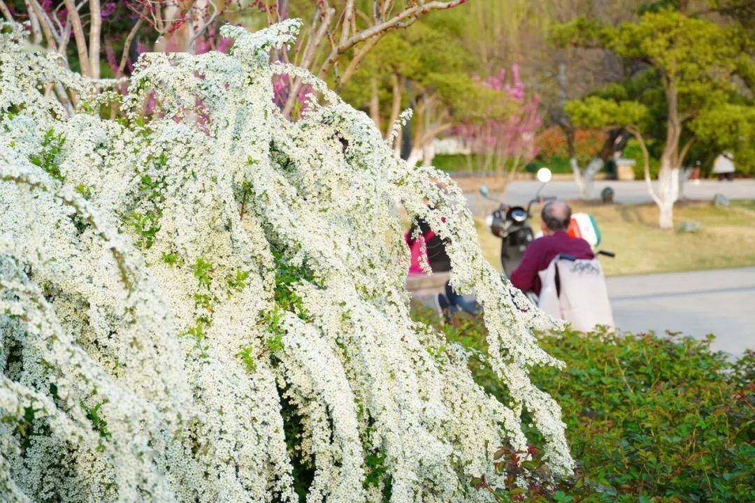 拱墅局部下雪了