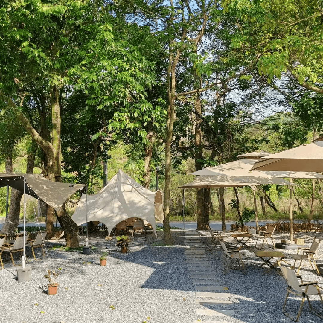 跟着山海勇士出游用脚步丈量五桂山的春天