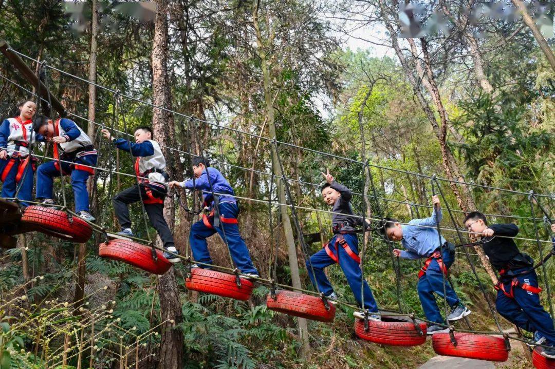 【百年"中华"·德育】拥抱多彩春天|五年级春季一日研学