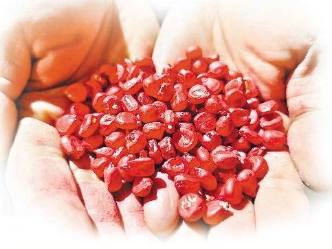 三大作物123个品种供区划选择