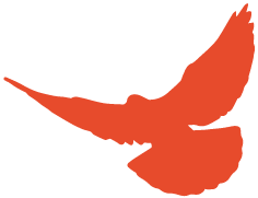 龙冈万功山有人看见张辉瓒上山和下山文冯都