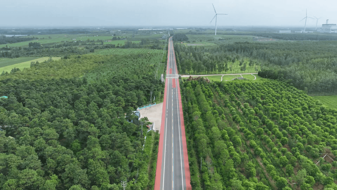 东海县交通运输局家文化激发交通发展新动能