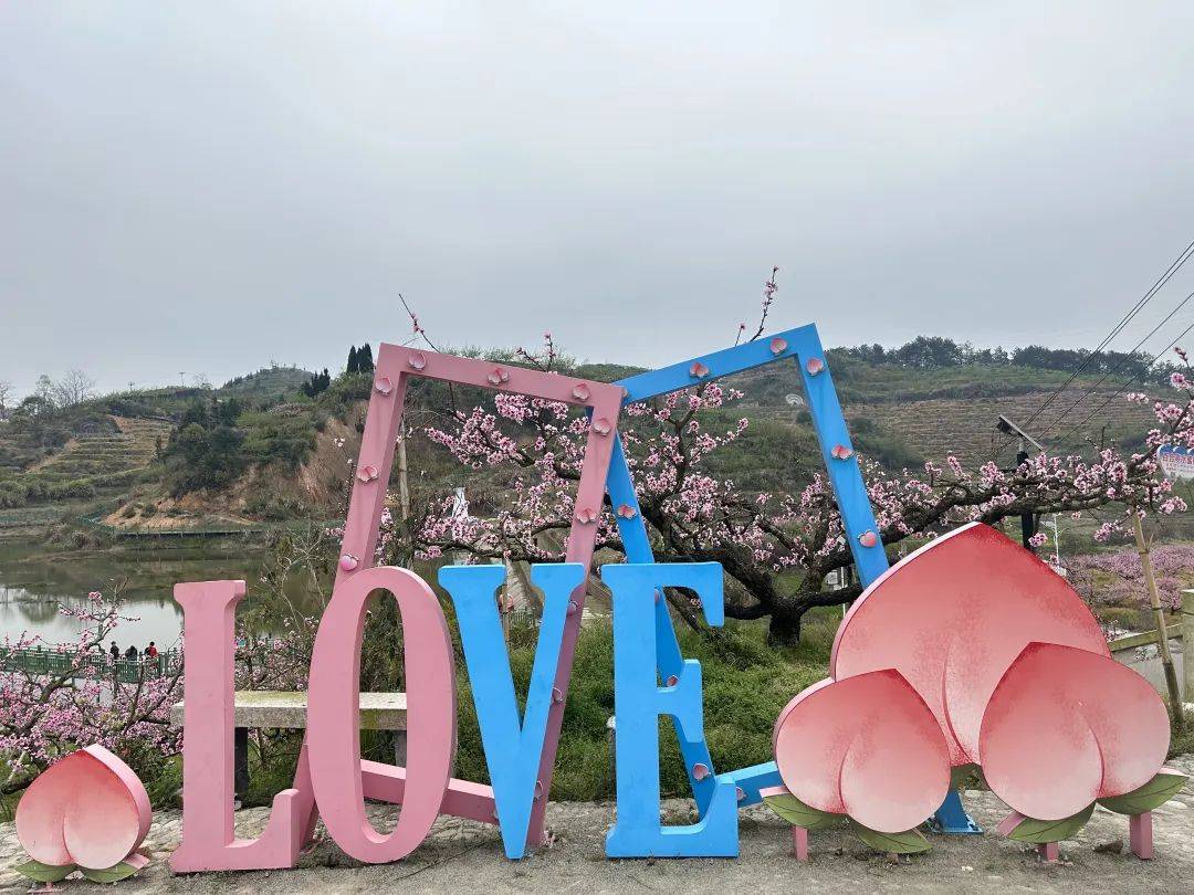 图讯丨春有约花不误桃花节在际面村浪漫开启