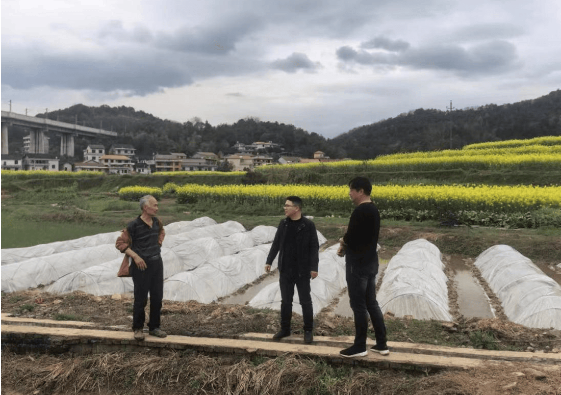 娄底市娄星区精准监督护航春耕生产