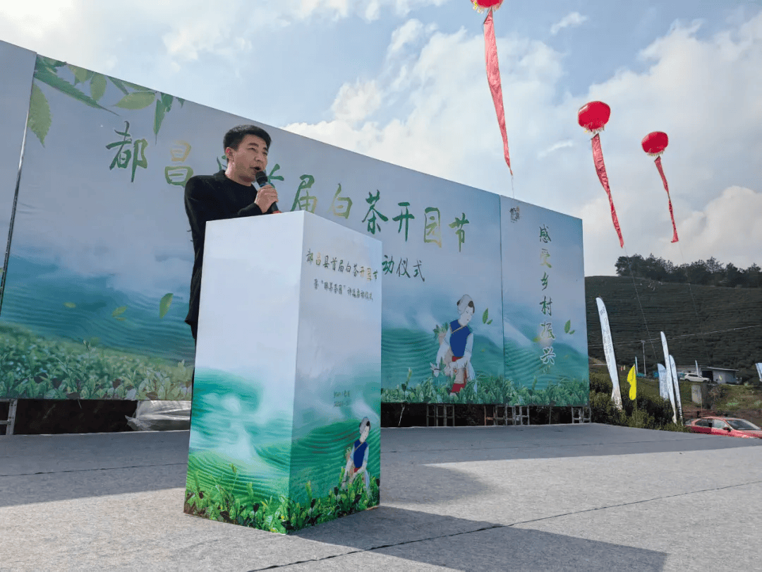 采茶,踏青,赏春光 都昌县首届白茶开园节开幕