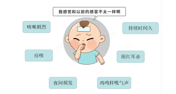 传染性鼻炎 来自搜狐网