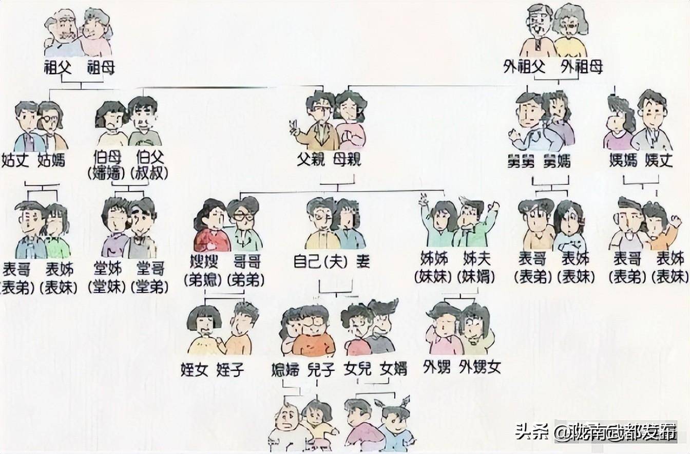 两族是什么意思