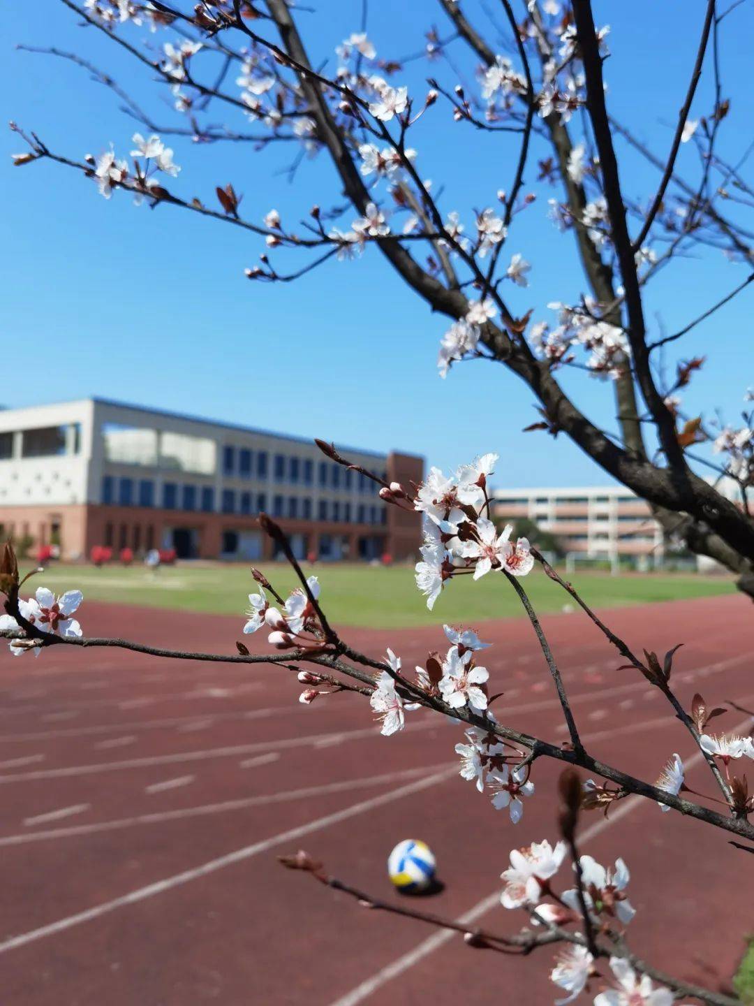 北京师范大学南湖图片