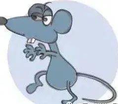 "除四害"知识科普_苍蝇_传播_疾病