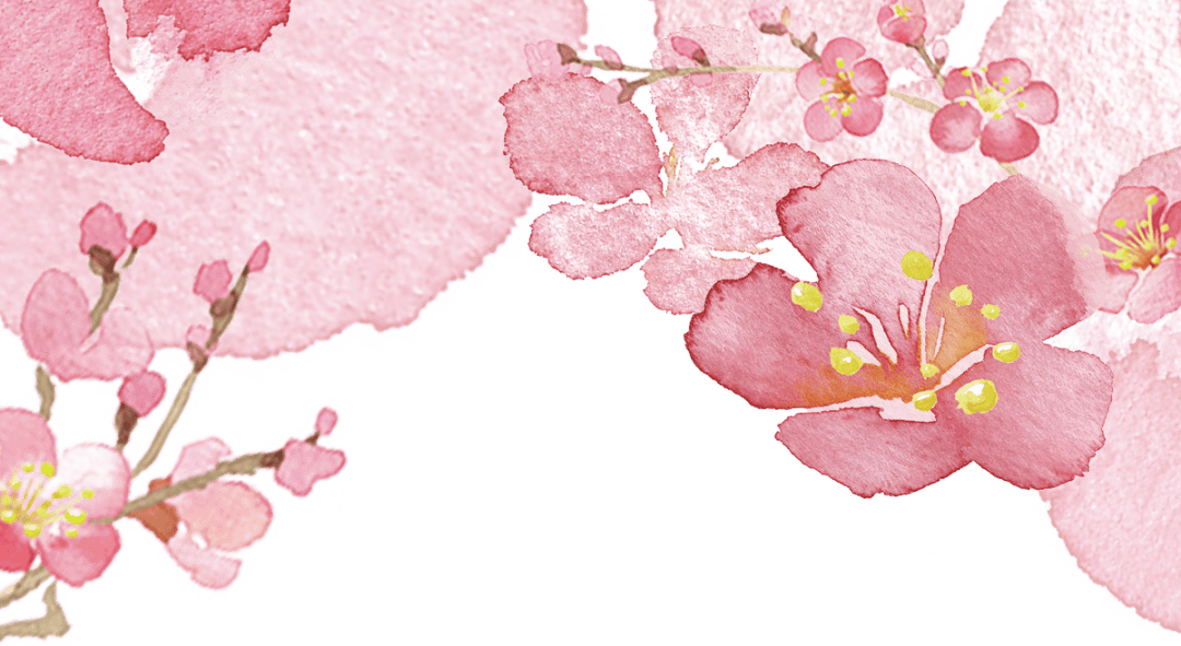 百姓百家这份桃花节玩转攻略早收藏含送票福利