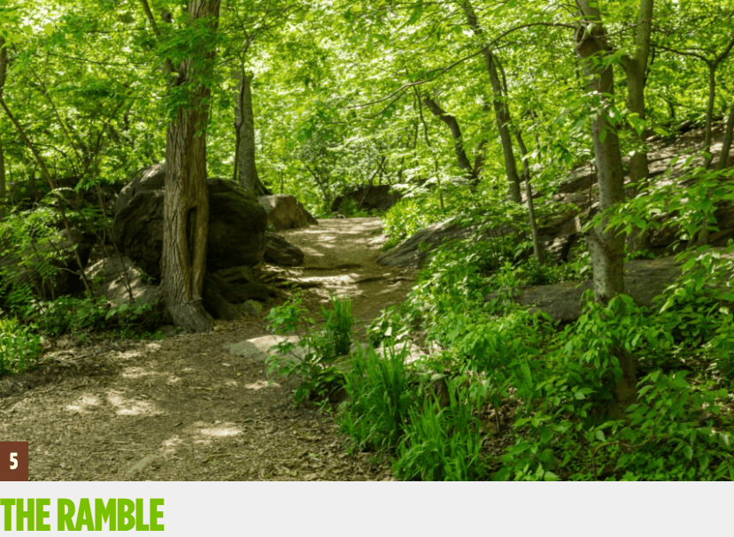 中央公园保护区 central park conservancy 提供了一份赏花地图,总结