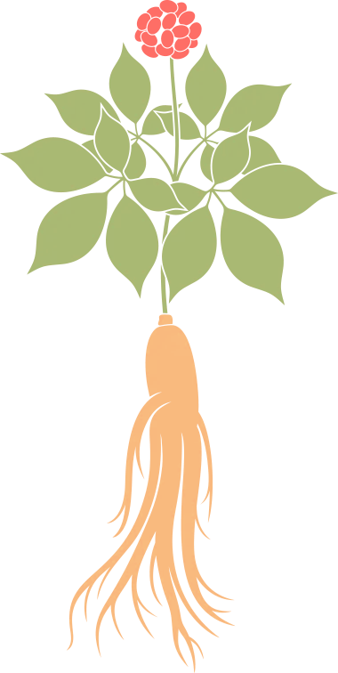 传统文化润校园77亭口中心小学第二届中医文化周让校园飘满药香