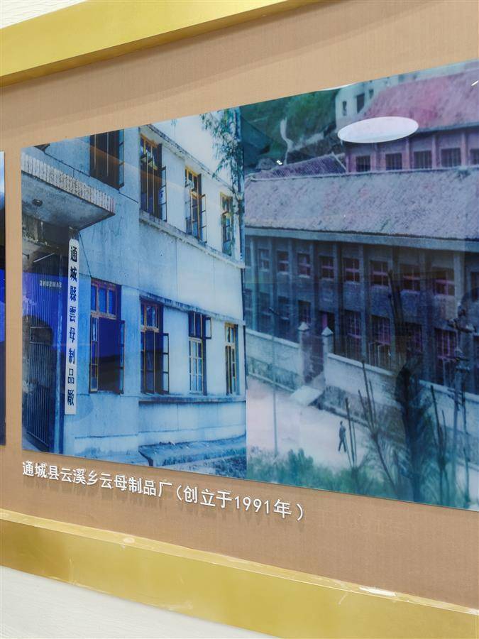 平安电工的前身是1991年创办的通城县云母制品厂.