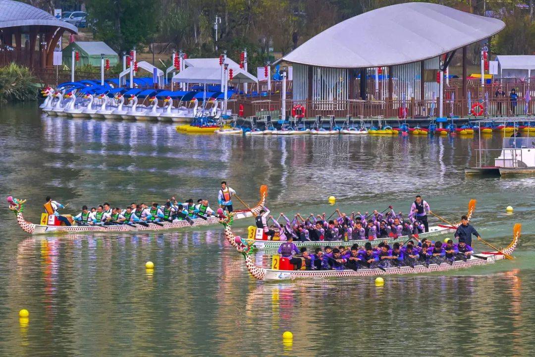将采用16支龙舟队伍同场竞技12人国标龙舟比赛规则在温泉公园码头开赛