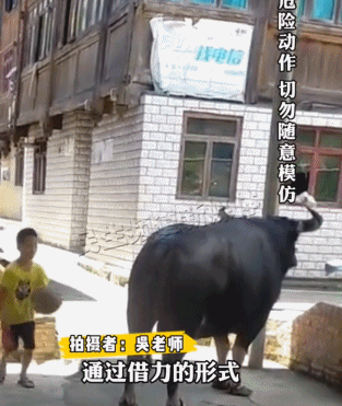 这省的运动细胞火上热搜连小孩哥都让北上广打工人汗颜