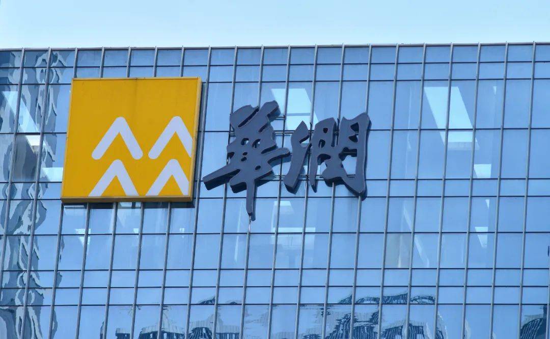 华润_长电科技_公司