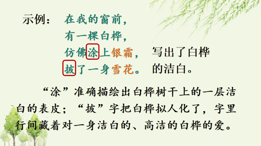 【课件】四年级语文下册 课文11《白桦》