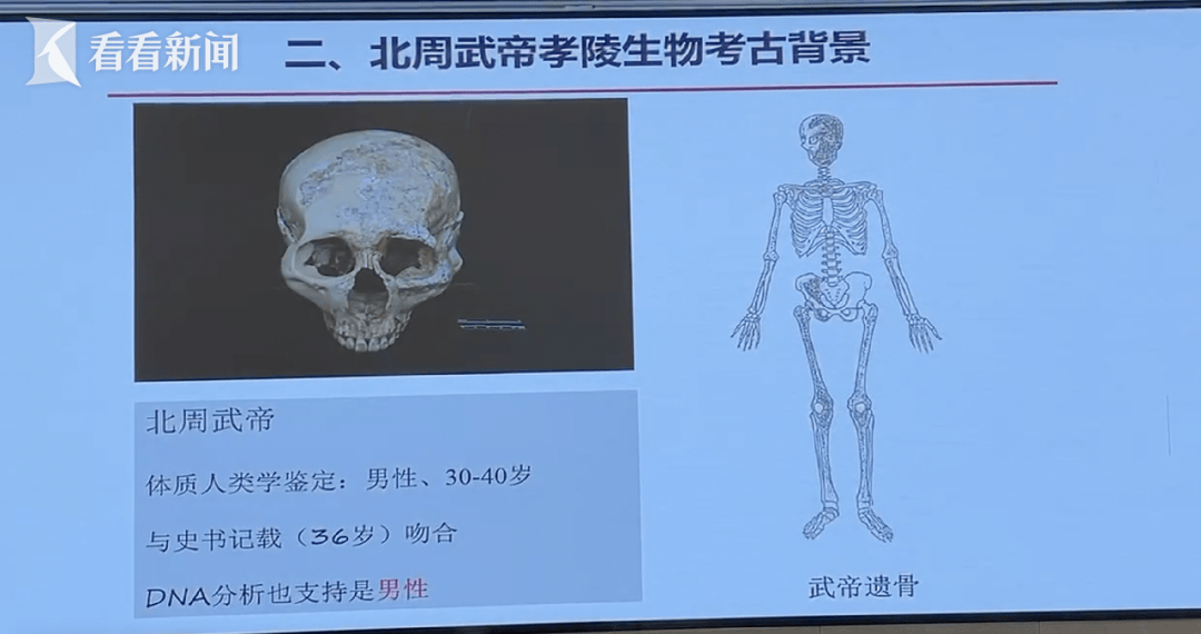 这位皇帝容貌被复原,英年早逝的原因疑为._宇文邕_北周_考古