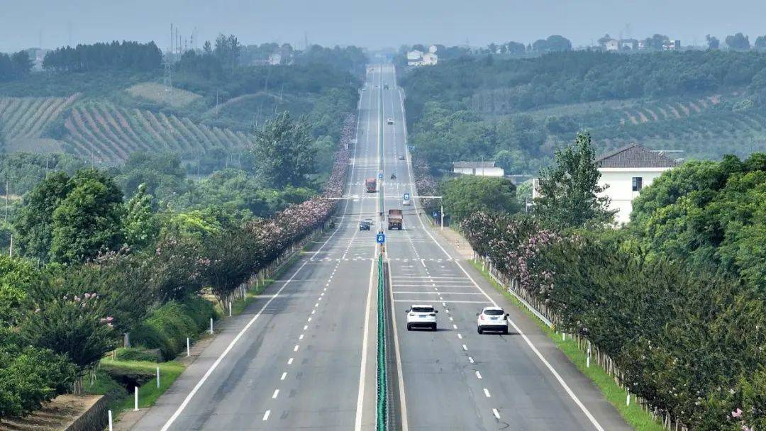 一路生花游当阳四方春景尽入画