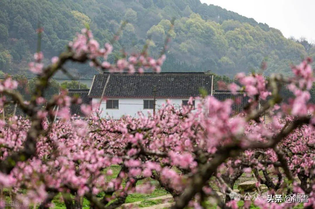 品读《春日》,感受春日的美好_汪藻_美景_桃花