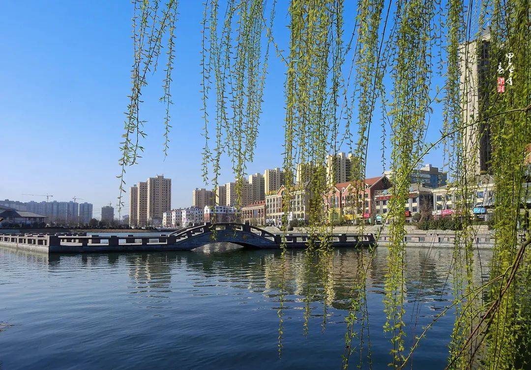 春游江淮砀山等您来,春日美景,上新!_梨花_县委宣传部