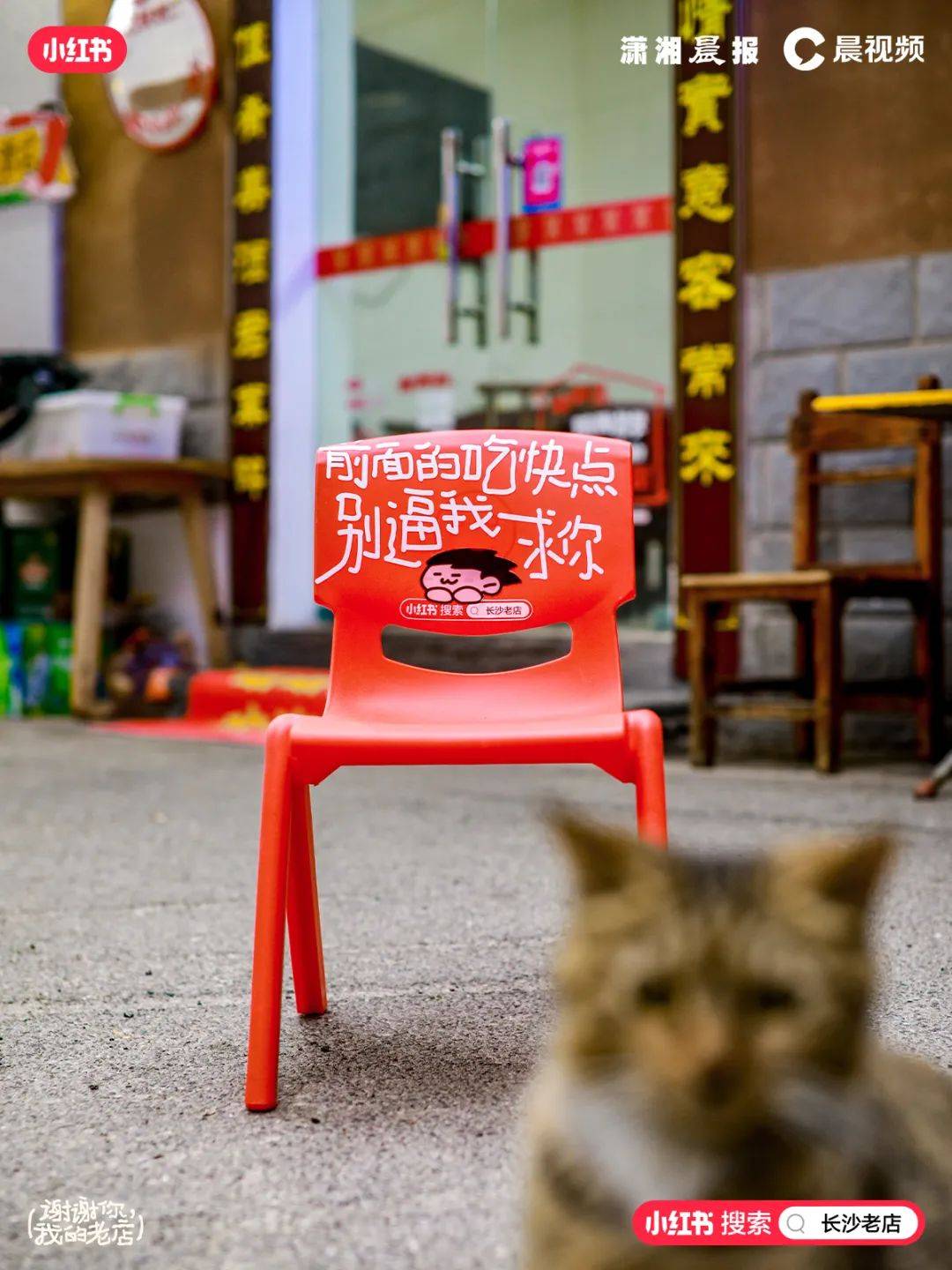 年轻人打卡长沙的第一课找老店就ok了