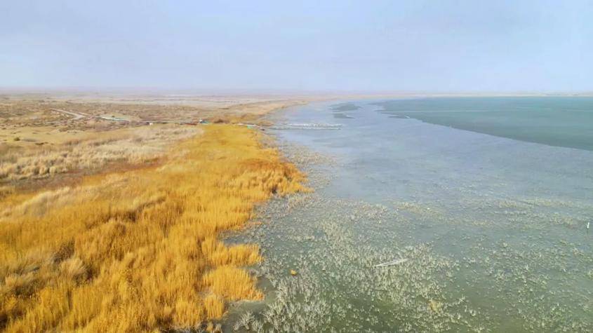 新疆巴州和硕县金沙滩冰化湖开候鸟回归