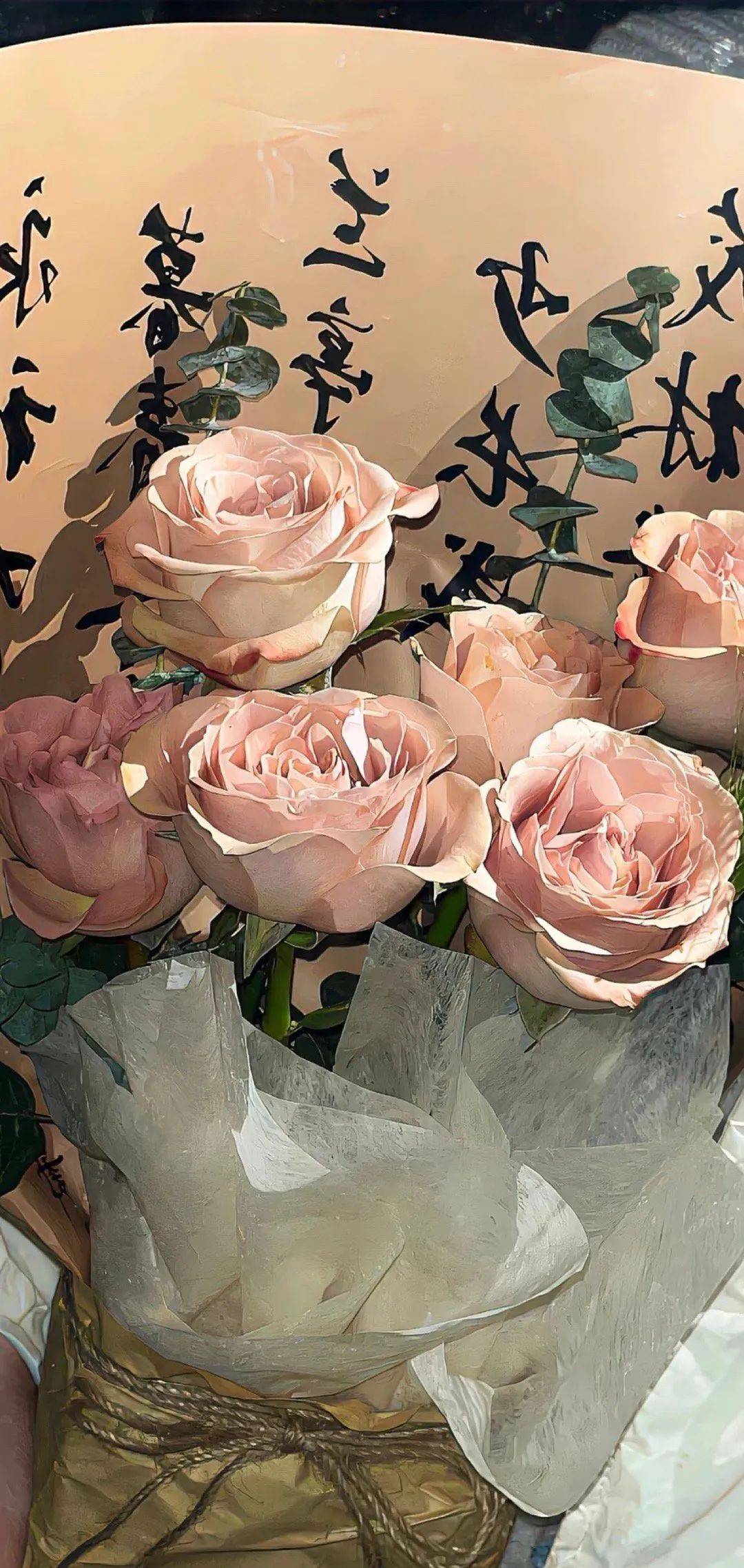 壁纸丨私藏绝美手机壁纸