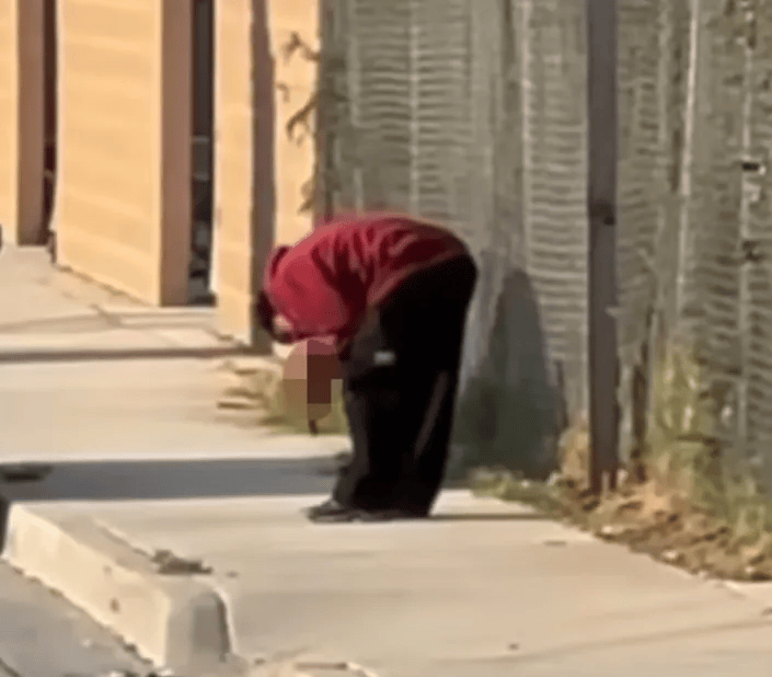 恐怖慎点人吃人男子当街挥舞死人腿直接生啃路人吓疯惊悚视频曝光澳两