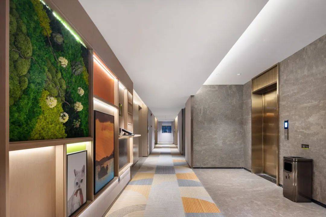 新酒店卷麻了06498周末清明不加价住希尔顿旗下品质