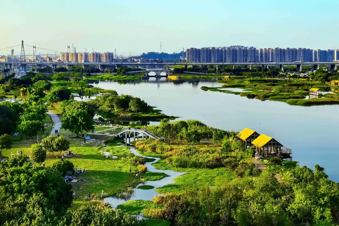 市知联会到沙田镇开展绿美东莞生态建设专项民主监督工作