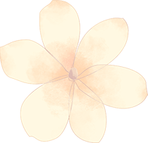 在成都共建清水长流鱼翔浅底的幸福河湖