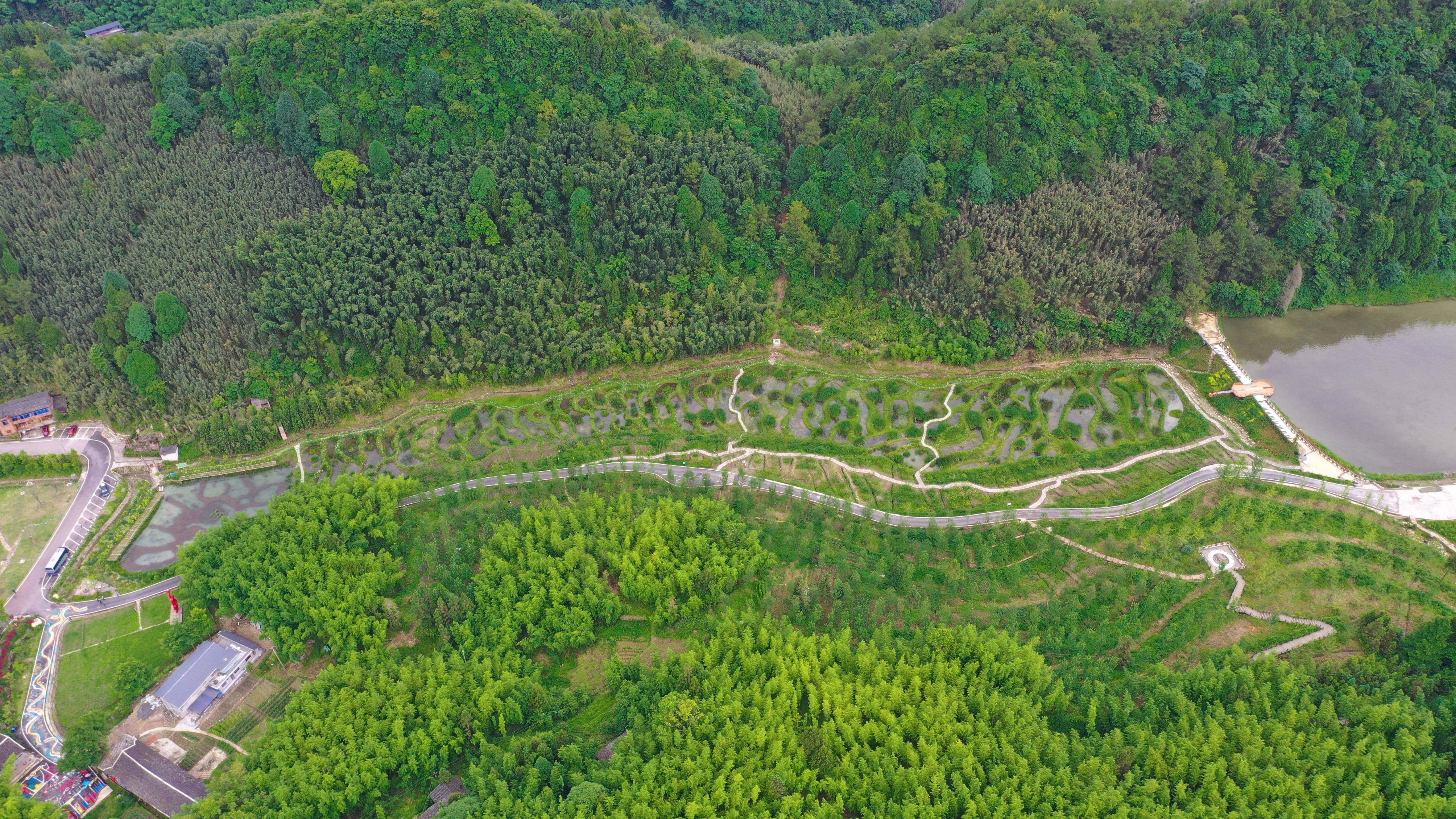 "小微湿地 "释放大能量