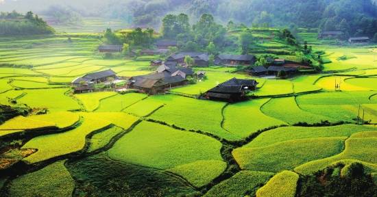 湖南九章天造湖南