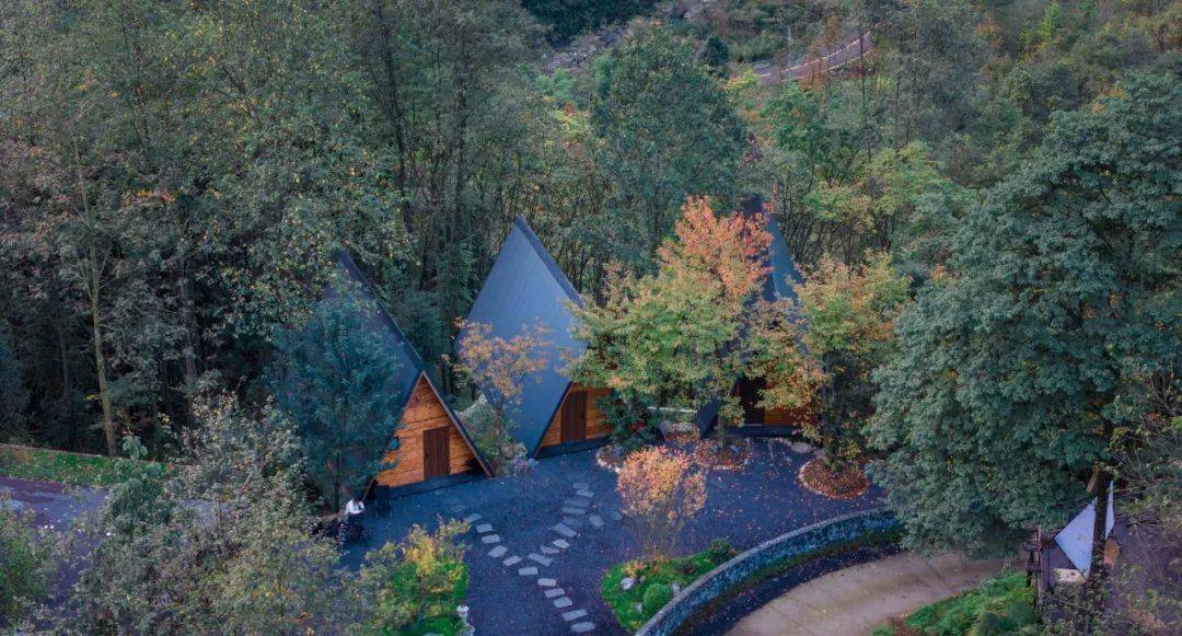 繁花已上线莫负好春光鹤鸣春日赏花带你住进春天里