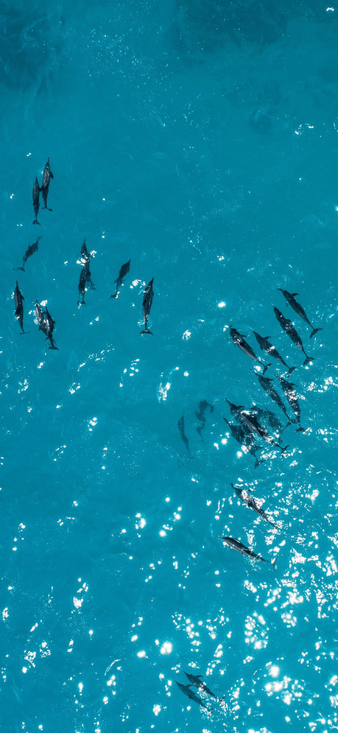 一些温柔的壁纸