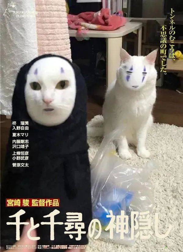 趣图福利猫猫海报合集