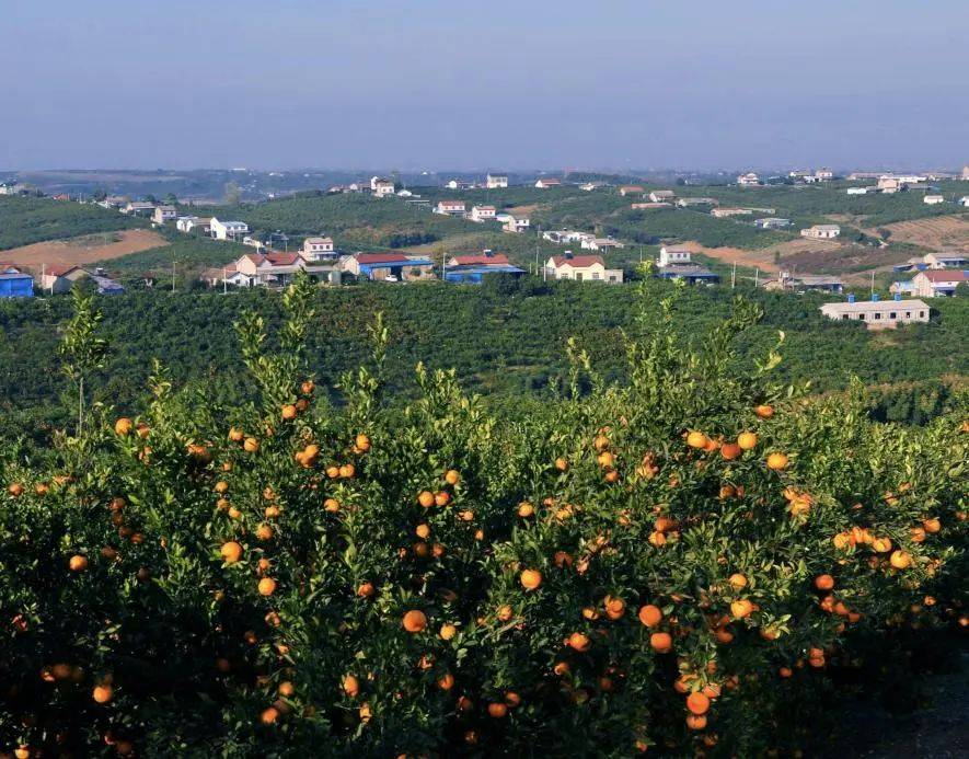 一路生花游当阳,四方春景尽入画