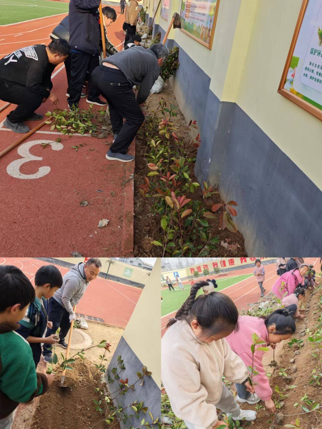 师生齐力同心 为校园妆上春色_颜色_欢歌笑语_墙角