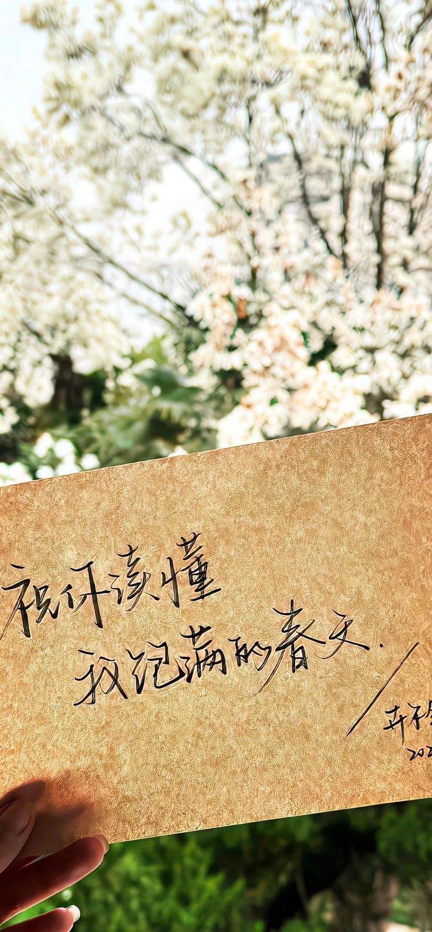 壁纸i你的iphone壁纸该换了