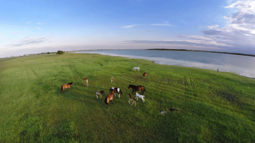 全攻略工业学大庆春天看大庆大庆精品旅游线路推荐