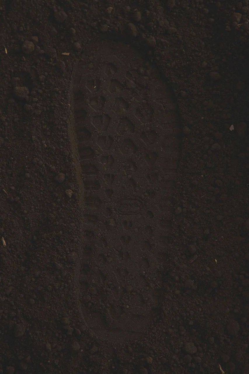 率先走进wtaps中国上海全新店铺hbdaily