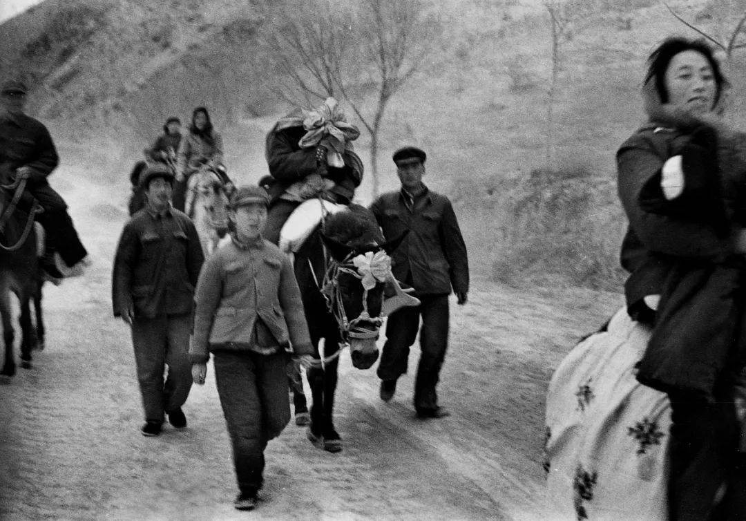 李樯故乡为原点的风景