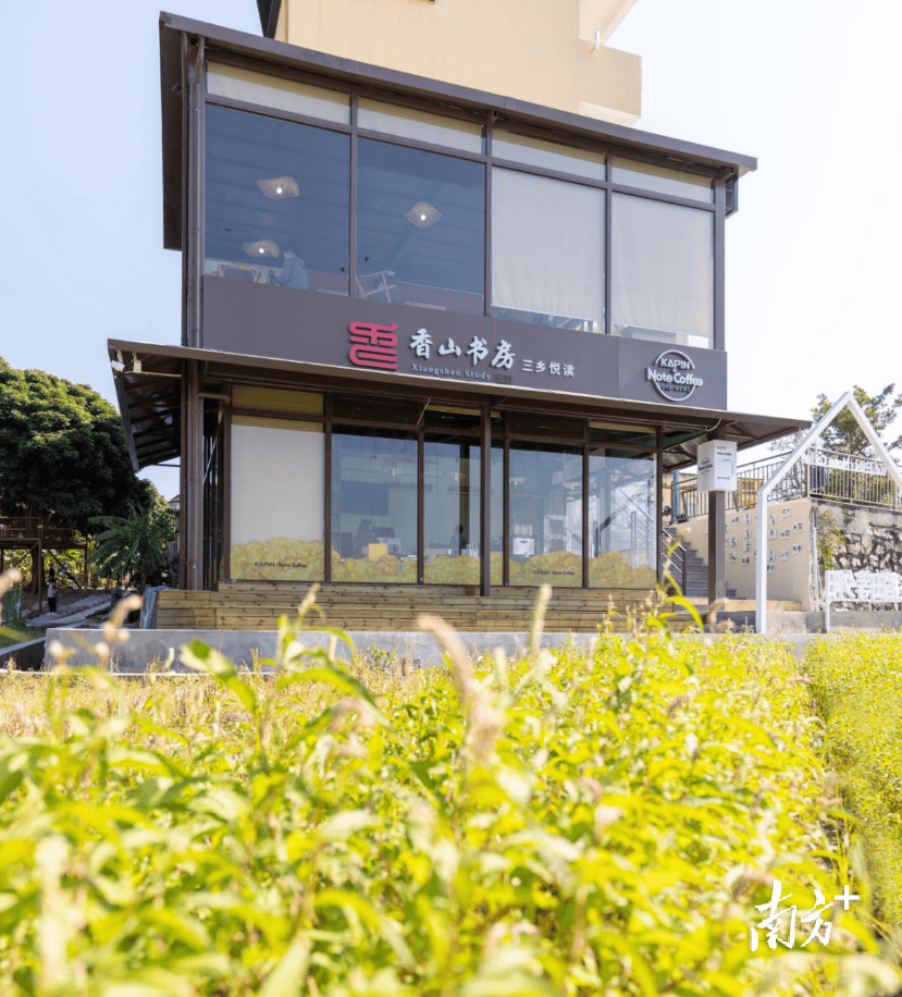 "南朗街道华照村的农业生产大户陈锦湖笑得合不拢嘴.