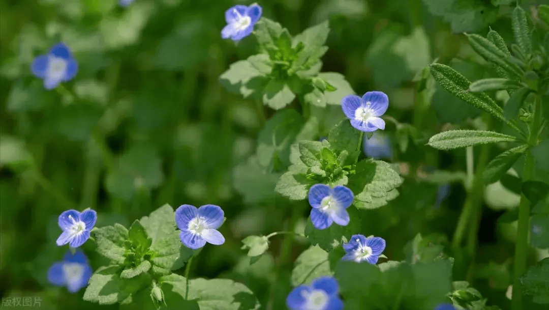 50岁退休后做三份工2年为儿子攒30万婚房首付我是怎么做到的