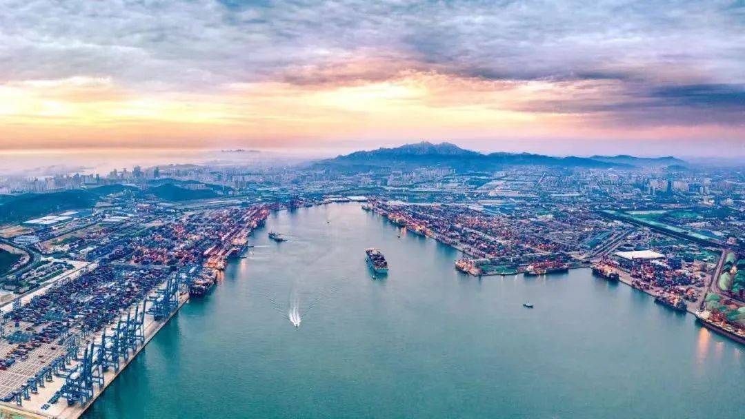 青岛港2023年净利润同比增长8.72%_港口_航线_服务