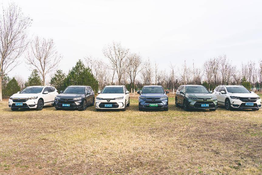 奔赴春日 皓影车友一起去追光_搜狐汽车_搜狐网