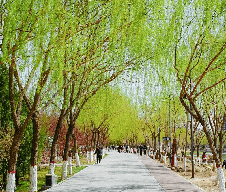 兴庆区春日踏青赏花指南来啦
