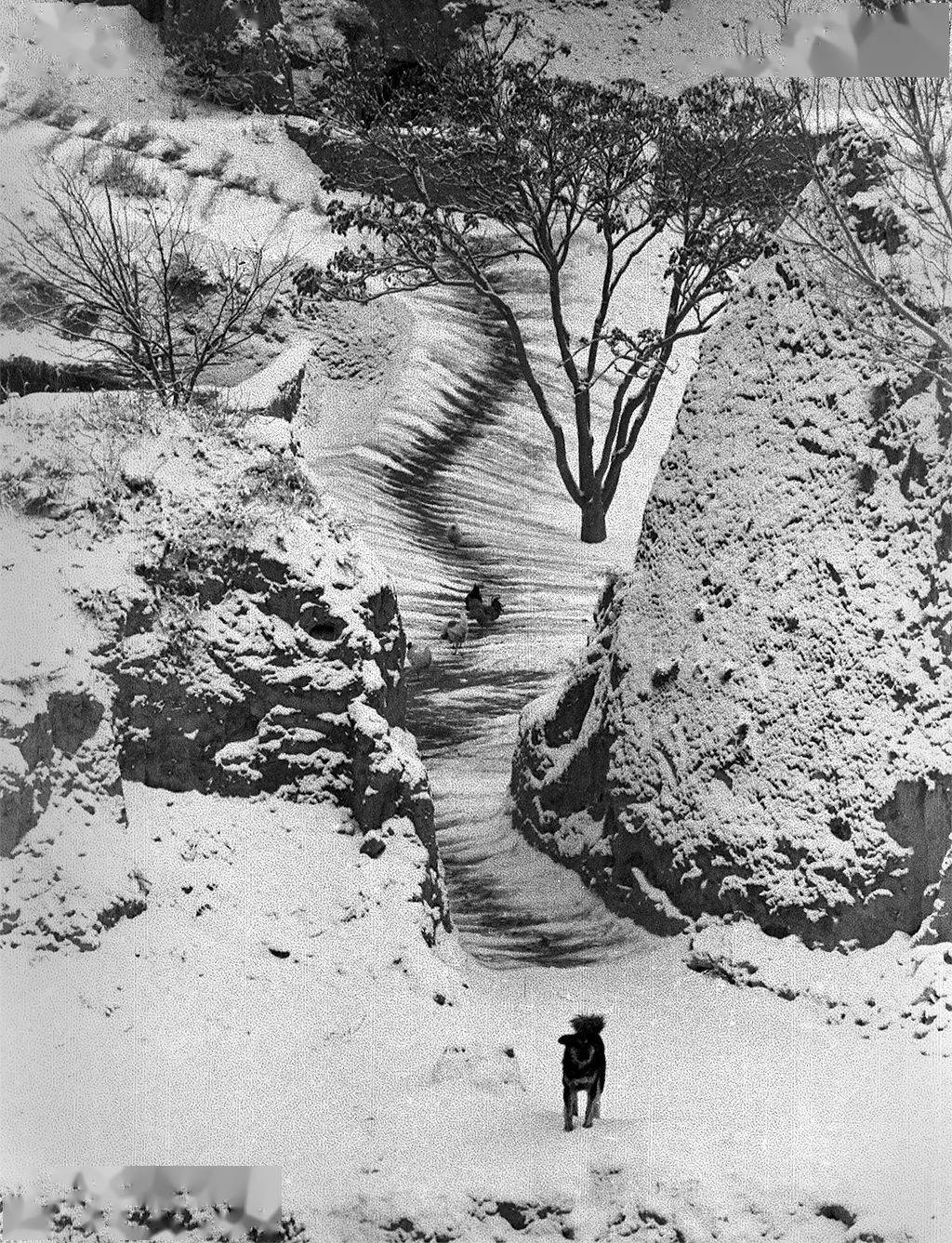 李樯故乡为原点的风景