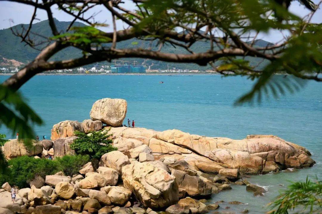 芽庄攻略!全网最值懒人出海度假超全指南!_越南_海滩_行程